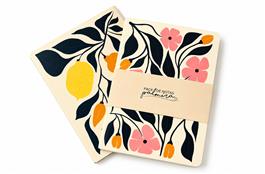 PACK X2 LIBRETAS