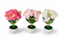 PLANTA ARTIFICIAL FLORES (1079)